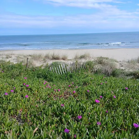 Petit Cocon Entre Port Et Apartment *