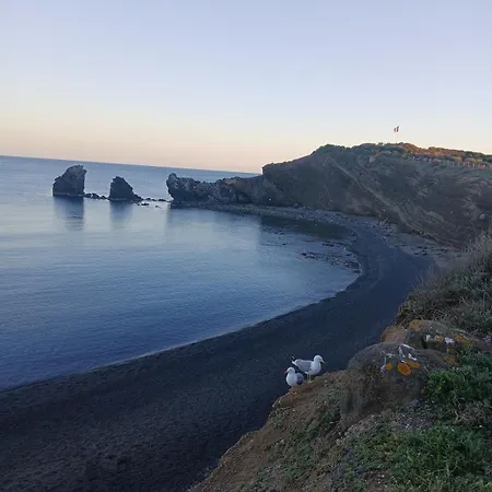 Petit Cocon Entre Port Et *